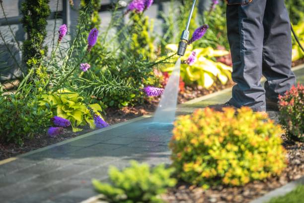 Best Fence Cleaning  in Franklin Park, NJ