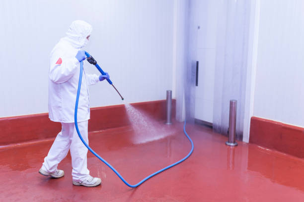 Best Driveway Pressure Washing  in Franklin Park, NJ